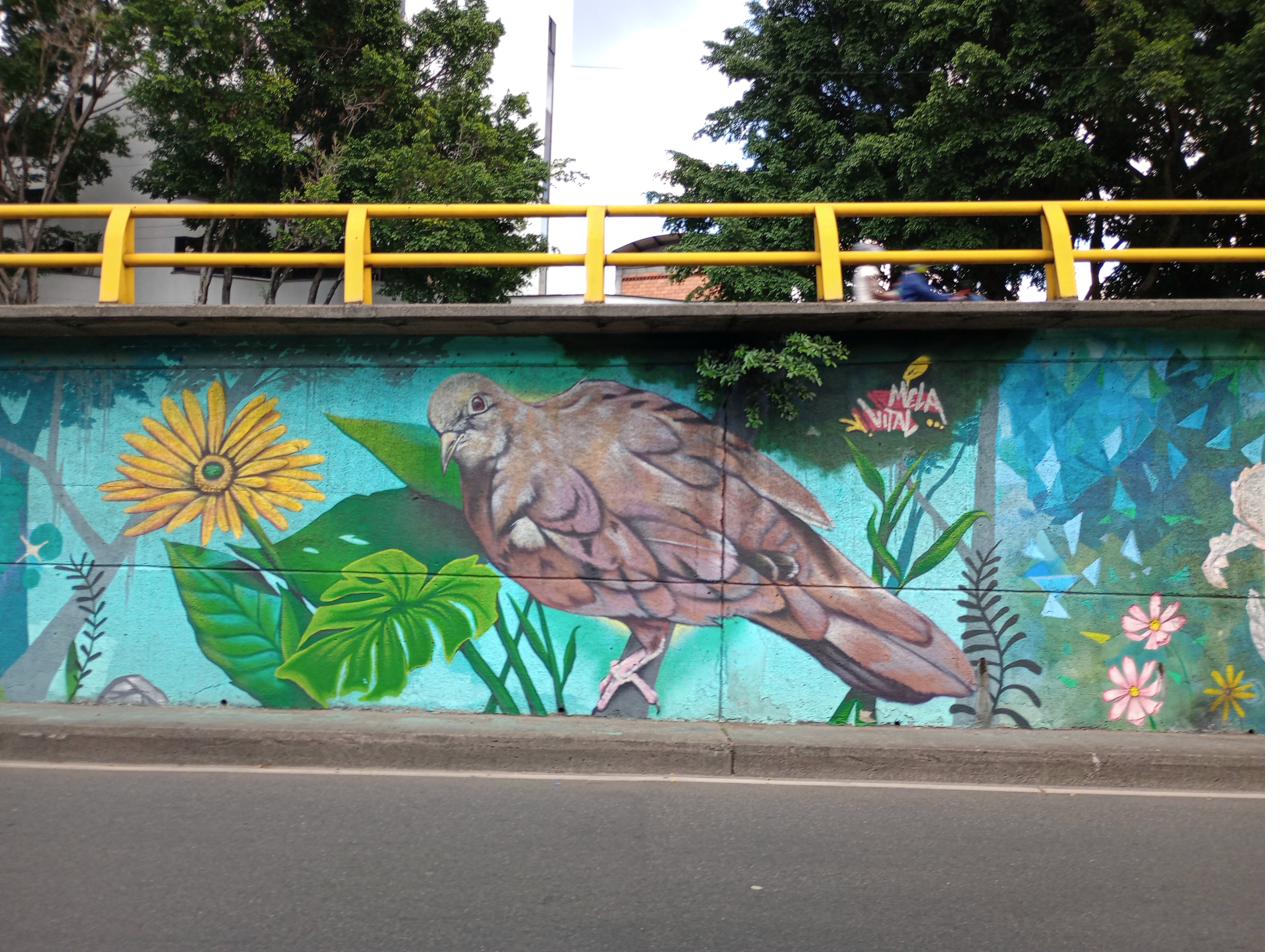 Beyond Escobar tourism